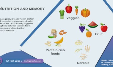Nutrition and memory