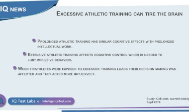 Excessive athletic exercise can tire the brain
