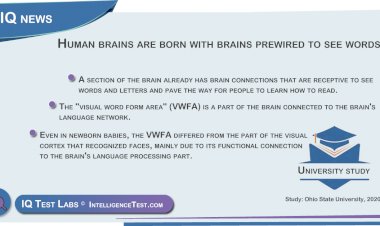 Humans are born with brains prewired to see words