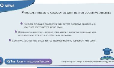 Physical fitness is associated with better cognitive abilities