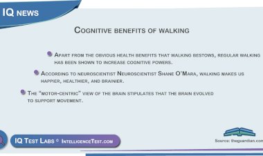 Cognitive benefits of walking