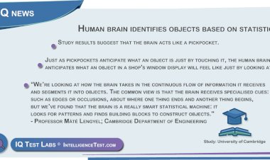 Human brain identifies objects based on statistics