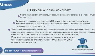 ST memory and task complexity