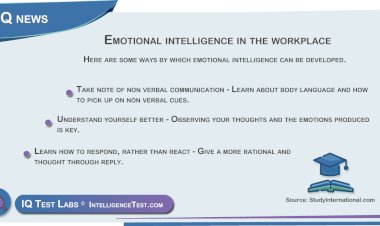 Emotional intelligence in the workplace
