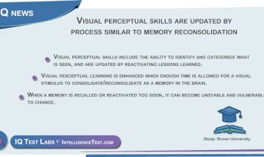 Visual perceptual skills are updated by process similar to memory reconsolidation
