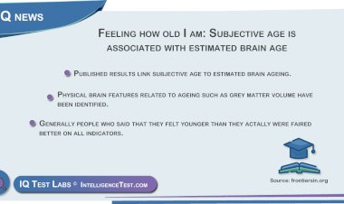 Feeling how old I am: Subjective age is associated with estimated brain age