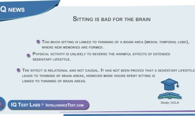 Sitting is bad for the brain